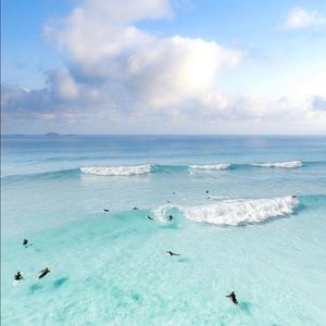 Meet your Posher, Blair